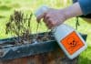 Top 10 Best Weed Killers of 2019 – Reviews best weed killers