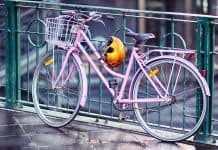 Top 10 Best Commuter Bikes of 2019 – Reviews